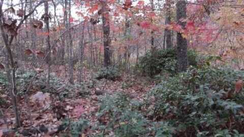 Lot 349 Drew Court, SMITHVILLE, TN 37166