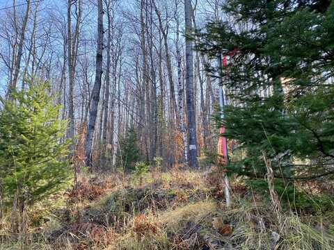 Lots 36-39 Chemin De La Montagne, Wolverine, MI 49799