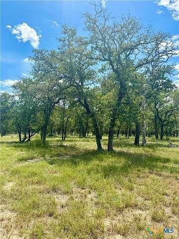 Terrace Hill, FLORESVILLE, TX 78114