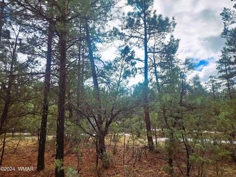 Hilltop, LAKESIDE, AZ 85929