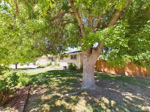 Lashley, LONGMONT, CO 80504
