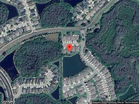 Barred Owl, LAND O LAKES, FL 34638