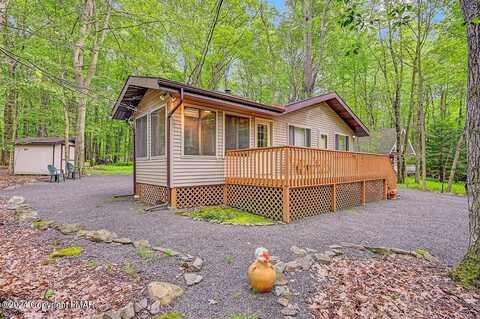 Beech, POCONO LAKE, PA 18347