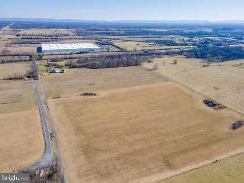 Thistle, CLEAR BROOK, VA 22624