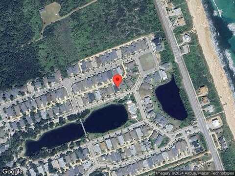 Laughing Gull, PALM COAST, FL 32137