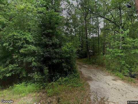 Lake, WILLIS, TX 77318