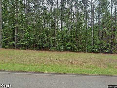 Reedy Creek, FORSYTH, GA 31029