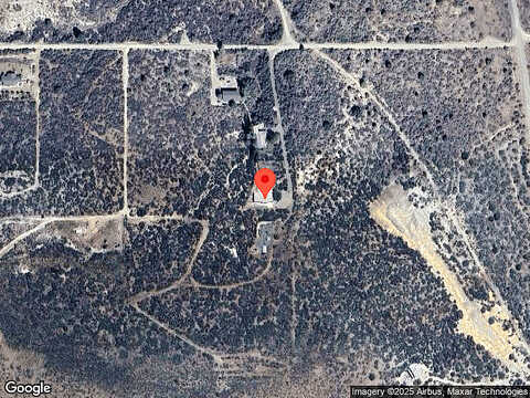 Primrose, MAYER, AZ 86333