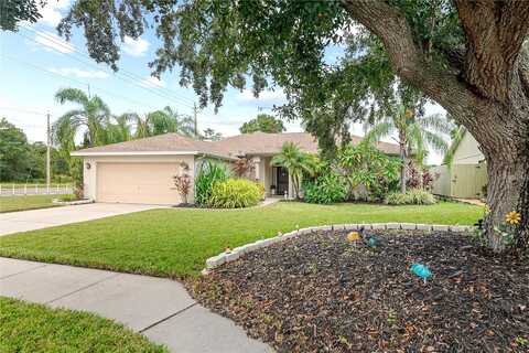 Montero, SUN CITY CENTER, FL 33573
