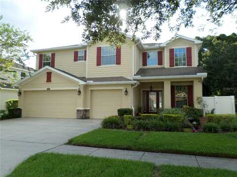 Bartolo, LAND O LAKES, FL 34639