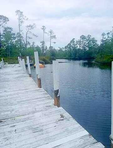 Fork, WEWAHITCHKA, FL 32465