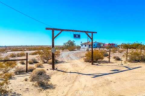 Jackrabbit, TWENTYNINE PALMS, CA 92277