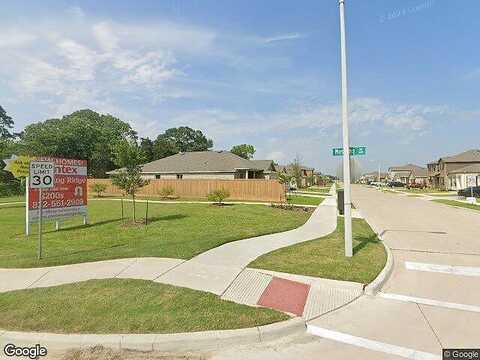 Appaloosa, ALVIN, TX 77511