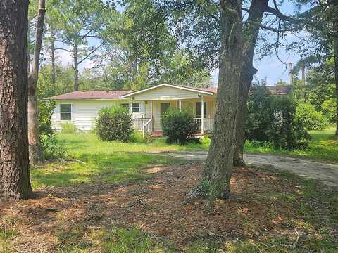 Lakeview, RAY CITY, GA 31645