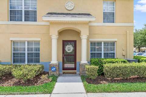 Daliha Terrace # 219, Zephyrhills, FL 33542