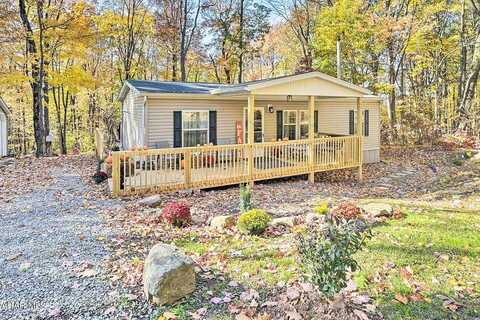 Blue Knob Road, Portage, PA 15946