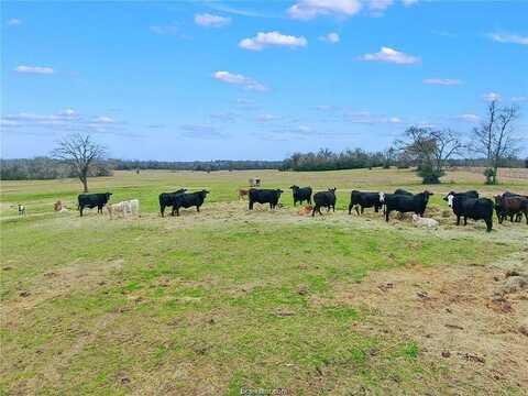 000 Pleasant Grove Road, North Zulch, TX 77861