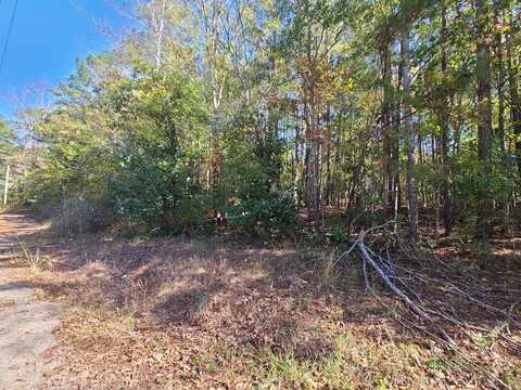 Lot 90 E LAKESHORE DRIVE, WAVERLY HALL, GA 31831