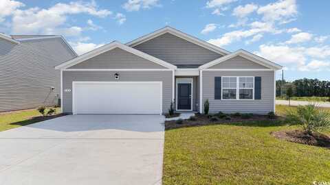 7335 Meadow Walk Loop, Loris, SC 29569