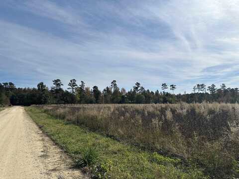 Lot 33 Gulley Ln., Salters, SC 29590