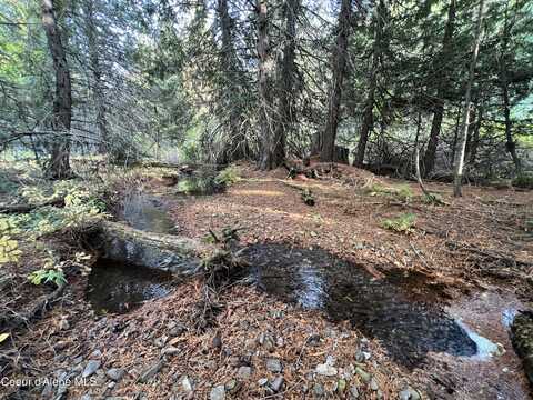 Lot 8 Bear Creek Rd, Kingston, ID 83839