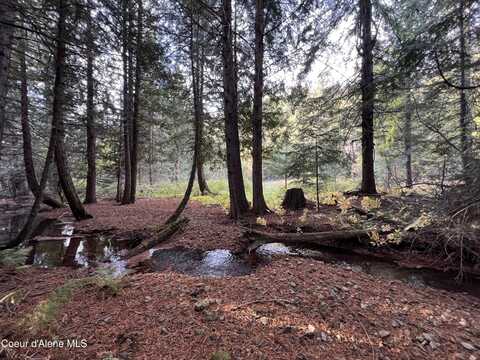 Lot 8 Bear Creek Rd, Kingston, ID 83839