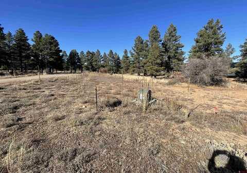 157 Mansions Circle, Pagosa Springs, CO 81147