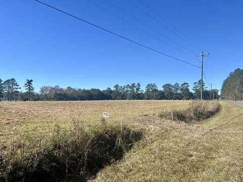 715 Nunuville Road, Walterboro, SC 29488