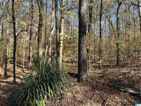 299 MOUNTAIN LAKE ROAD, HAYDEN, AL 35079