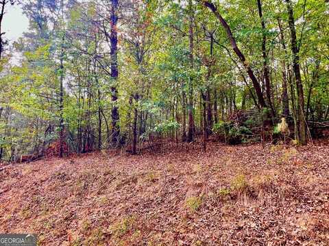 415 Chatawa, Ellijay, GA 30540