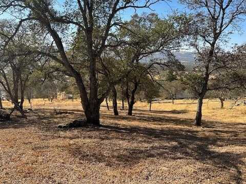 2442 Arrowhead Street, Copperopolis, CA 95228