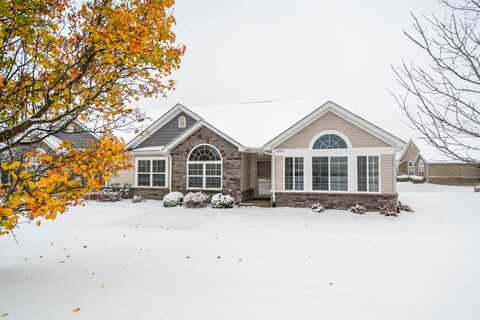 10993 Elkhart Place, Crown Point, IN 46307