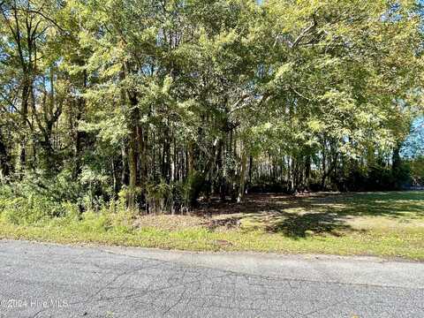 1239 Chance Boulevard, Robersonville, NC 27871