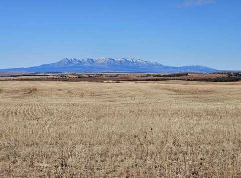 TBD Road 7.7, Dove Creek, CO 81324