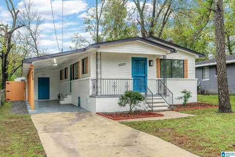 3825 ELLIS AVENUE, BIRMINGHAM, AL 35221