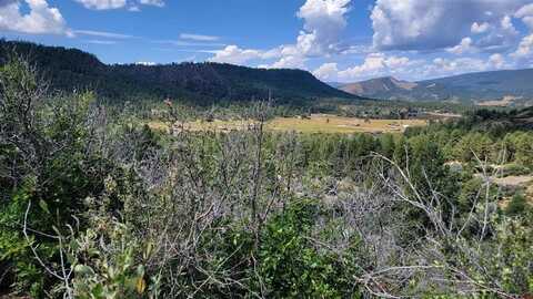 196/164 Jennifer's Place, Pagosa Springs, CO 81147
