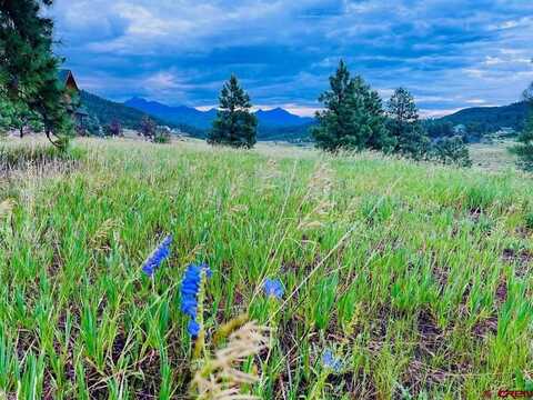 119 La Ventana Place, Pagosa Springs, CO 81147