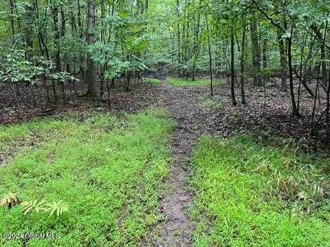 L2.2 Canniff Road, Freehold, NY 12413