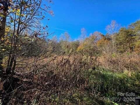 Seminole Drive unit: 64, Maiden, NC 28650
