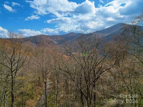 Scarlet Maple Lane unit: 23, Maggie Valley, NC 28751