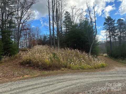The Vines Boulevard unit: 5, Marshall, NC 28753