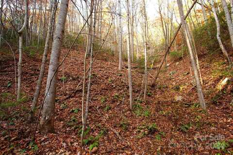 Rector Branch Road unit: 4, Marshall, NC 28743