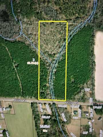 9 +-ac (Lot 2) Phillips Rd, Cottonwood, AL 36320