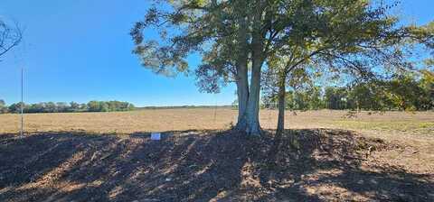 6.35 Acres County Rd 92  Lot 6, Slocomb, AL 36375