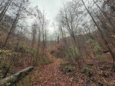 5260 Joes Creek, Pikeville, KY 41501