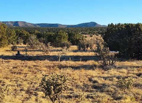 Ravine Lane, Mountainair, NM 87036