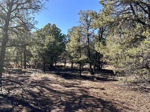 163 Windmill Drive, Datil, NM 87821