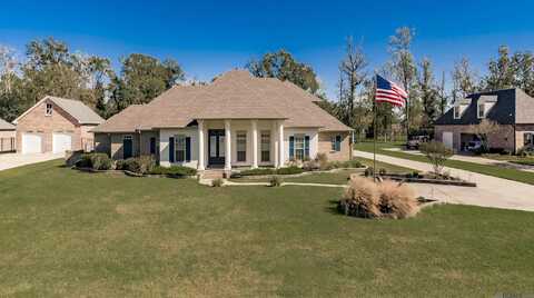 7576 Lillie Valley Dr, Gonzales, LA 70737
