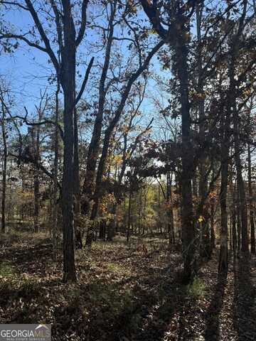 Lot 216 Anthemis, Sparta, GA 31087
