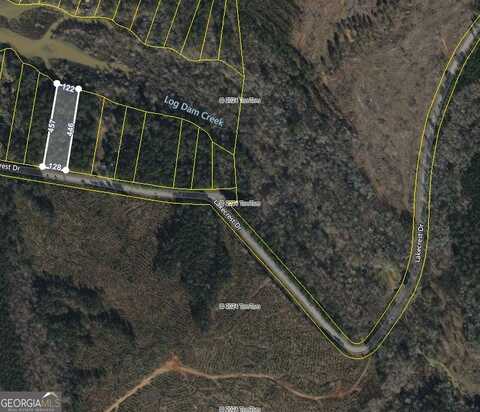 Lot 133 Lakecrest, Sparta, GA 31087